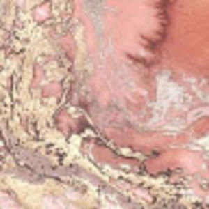 Meet your Posher, Brooklyn